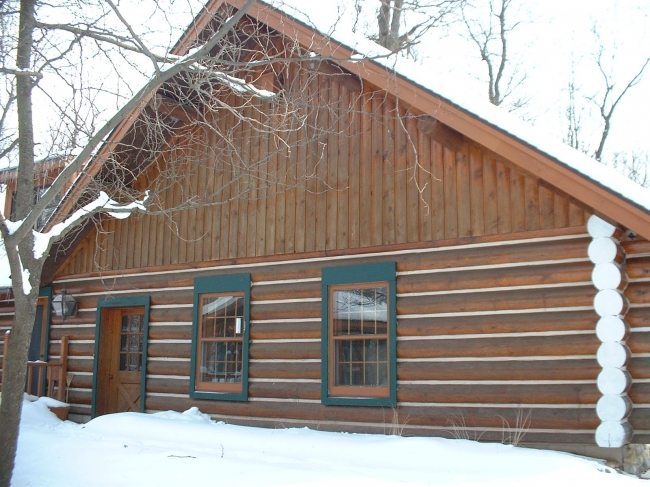 Top Coat Log Home Restoration