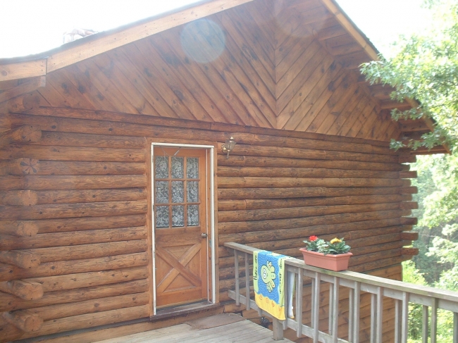 Top Coat Log Home Restoration