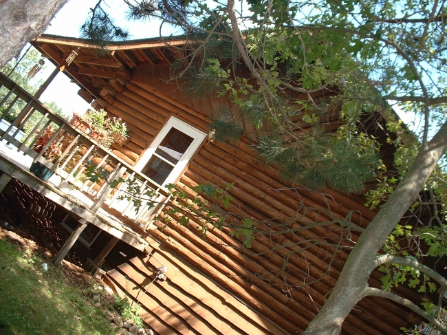 Top Coat Log Home Restoration