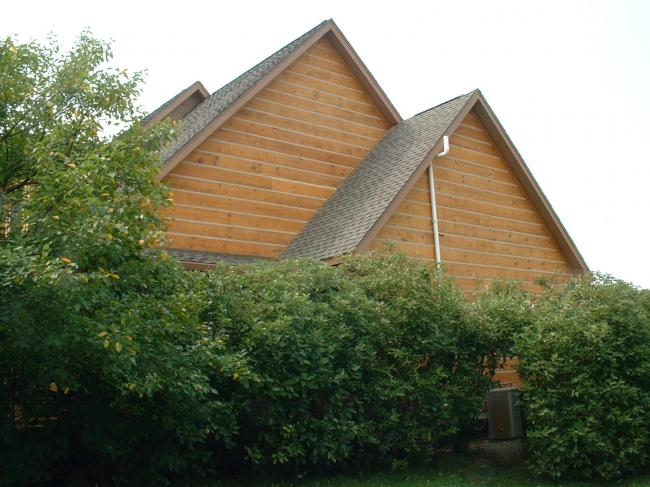 Top Coat Log Home Restoration