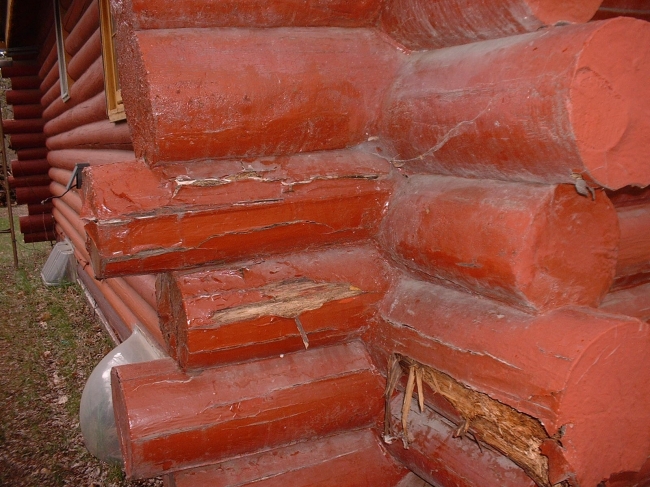 Top Coat Log Home Restoration